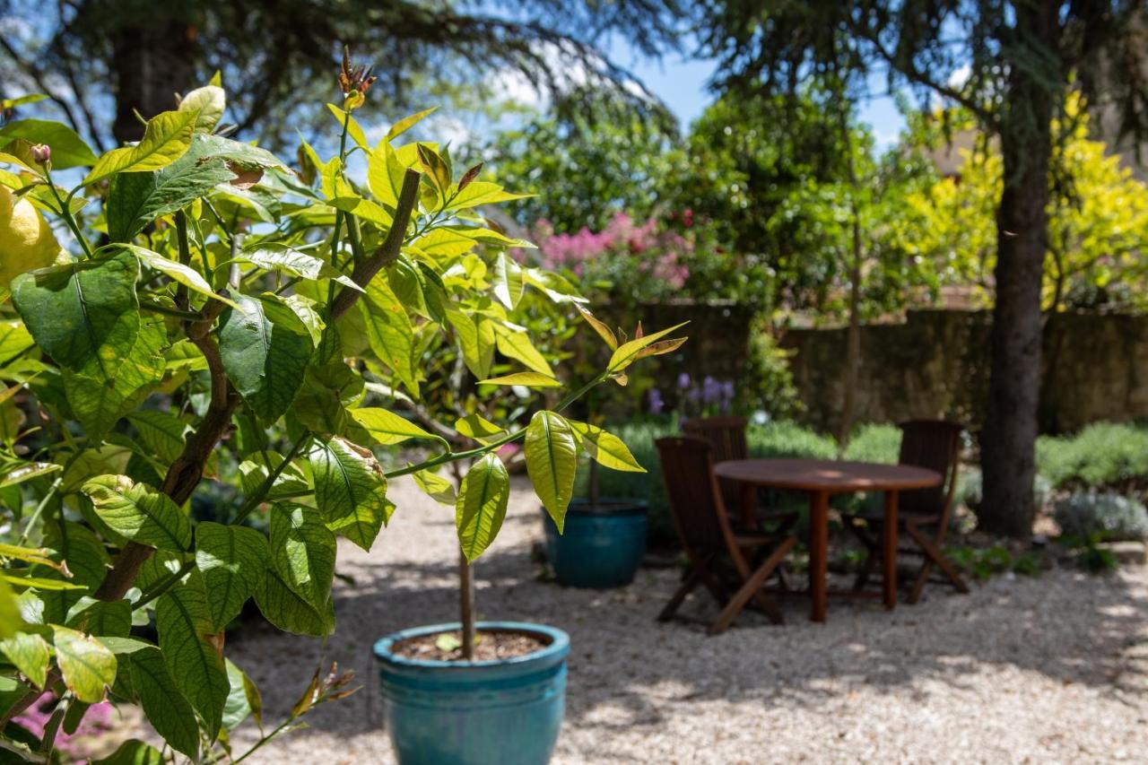 Le Jardin de Mazan Bed and Breakfast Exterior foto